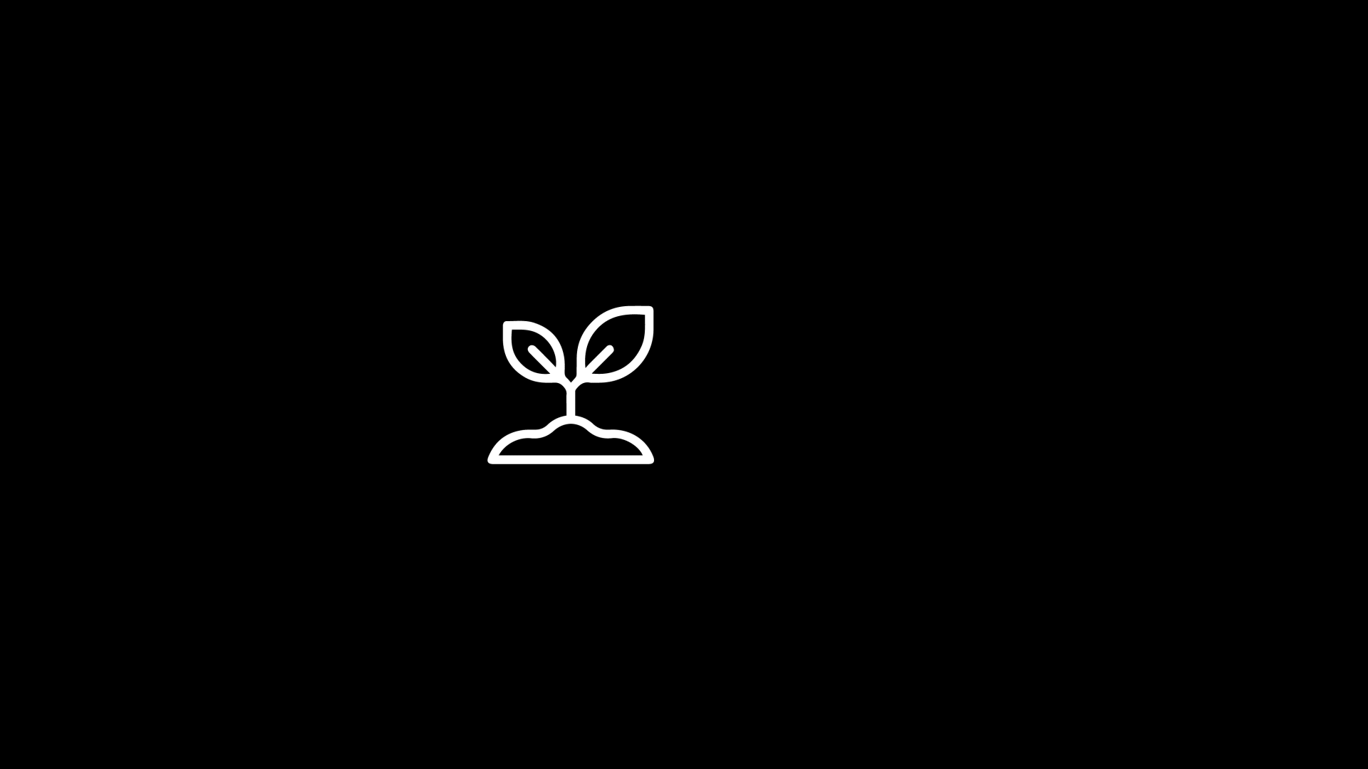 Mudra Yoga Branding 3
